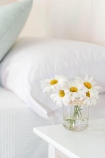 Casa Rural Verde Salvia - 1