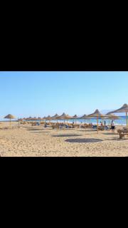 Cozy sunny ground chalet with terrace-Ras Sudr - Ras Sedr - 1
