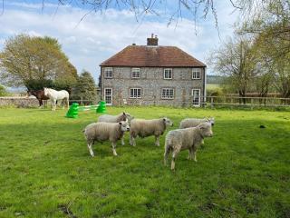 Charlton End - Goodwood Events - Chichester - 0