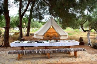 Cocoon Tent in an Olive Grove - 7