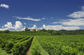Agriturismo Moro Barel - Vittorio Veneto - 9