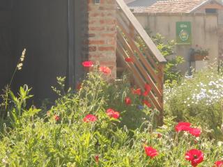 Gîte du Rotenberg - Bergheim - 4