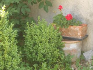 Gîte du Rotenberg - 3