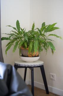 L'appartement à Cardaillac - 1