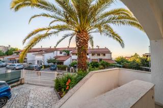 Apartment Goga - Pula - 0