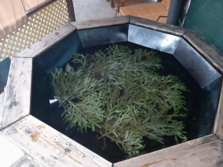 Садиба Райський Куточок - 7