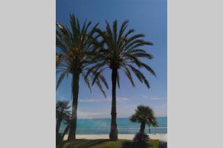 Casa Marina Apartment Ligurien Arma di Taggia bei Sanremo - 1