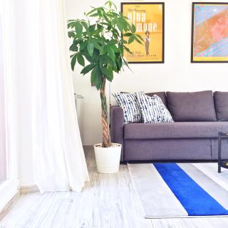 PIGNETO VILLAGE B&B Roma Apartment with Balcony Metro C - 6