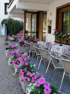 Albergo Belvedere - Fiera di Primiero - 3