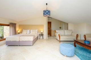 Villa Louise, Trani Ammouda #FeelsLikeHome - Ormos Panagias - 1