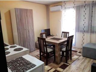 Studio Apartman Atila Sokobanja - Sokobanja - 4
