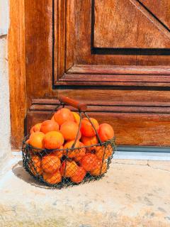 Maison Aubergerac - Bergerac - 8