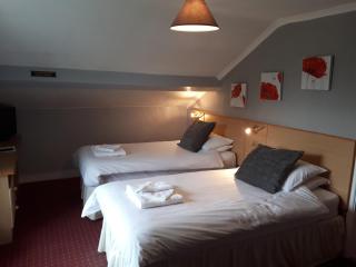 The George Borrow Hotel - Ponterwyd - 4