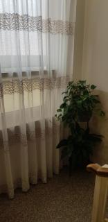 Hotel Margherita Meublè - Sirmione - 7