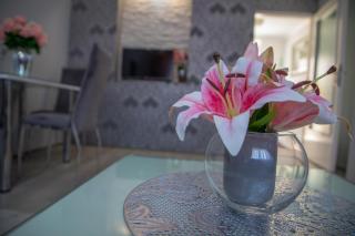 DIS apartman 1 - Kruševac - 4