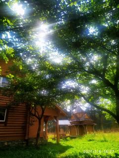 Говерлянка - 1