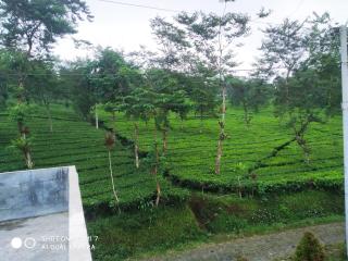 villa RR Seroja kamar biasa - Garung - 7