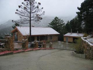 Casa Rural El Tejo - Riópar - 3