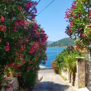 Apartments Todorovic - Tivat - 5
