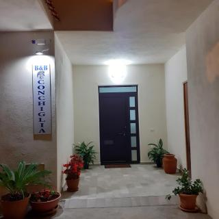 La Conchiglia Bed and breakfast - San Nicola Arcella - 3