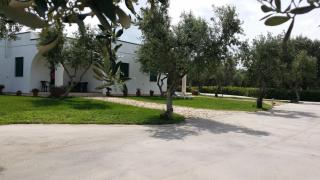 Oasi Degli Ulivi - Carovigno - 5