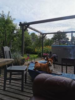 Green Garden house - 4