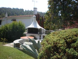 Cozy Villa in the woods next to the sea , 7 sleeps - Elani - 2