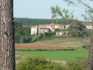 Mas de Lassagne - Vagnas - 4