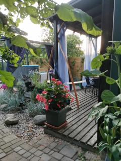 Green Garden house - 8