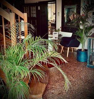 Hainberg Hotel Garni - 7