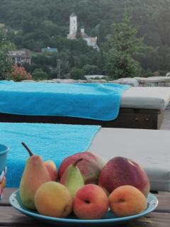 Etno Apartment Vrdnik - 6
