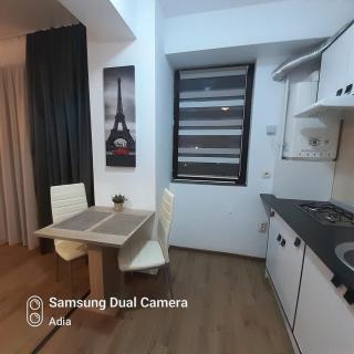 Studio Roxana - Mamaia - 5
