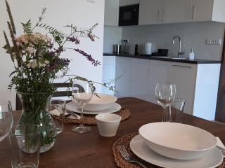 Apartmán Studnice - Nové Město na Moravě - 7