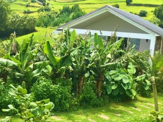 Azores Casa Hawaii - Nordeste - 9