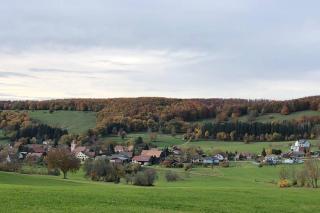 Havre de paix dans le Jura Alsacien avec piscine privée externe de mai à septembre - Bendorf - 5