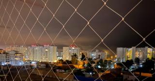 Andrea Pacífico - 2