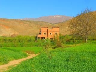 Safranière du M' Goun - 4