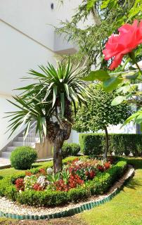 Apartman Ćorić Posušje - Posušje - 1