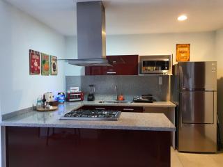 Blue Horse Apartment in New Polanco. - Città del Messico - 5