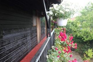 C Dor de Vama Bedrooms - Vama Veche - 1