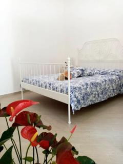 Shedir - Vico Equense - 5