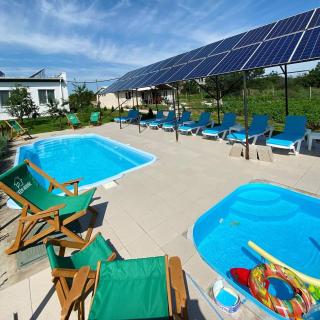 Green House Gribovka - 9