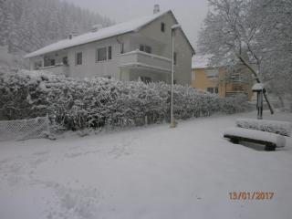 Steinatal - Bad Sachsa - 6