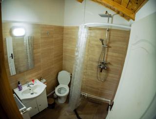Pensiunea Farmecul Naturii și căsuțe individuale de închiriat Colibița - 3