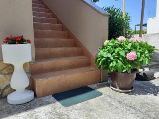 Apartmani Sanda i Leo - Bibinje - 8