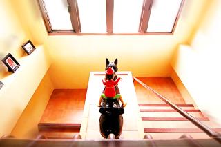 豐 FONG PENSiON - 無合作 ᴀɢᴏᴅᴀ 平台 - Città di Taitung - 4