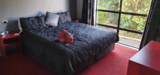 De Vine Martinborough 14 Cologne Street - Martinborough - 1