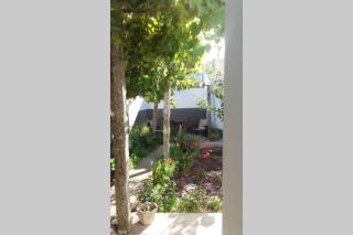 Casa Isabel 2 bedroom apartment near Porto - 6