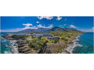 THE HOTEL YAKUSHIMA ocean & forest - Yakushima - 8