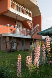Apartments Dedeic - Žabljak - 1